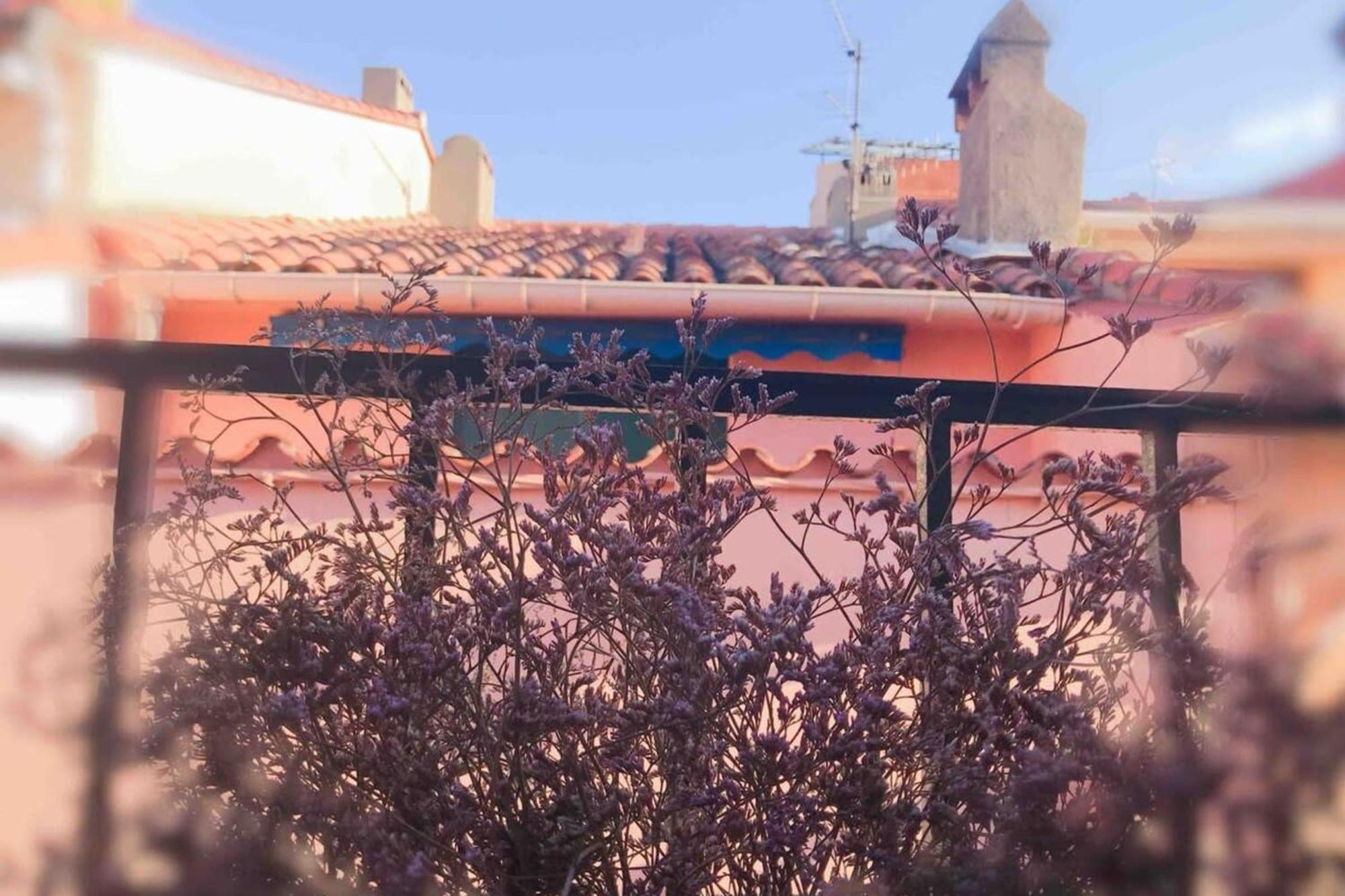 Appartement St Vincent